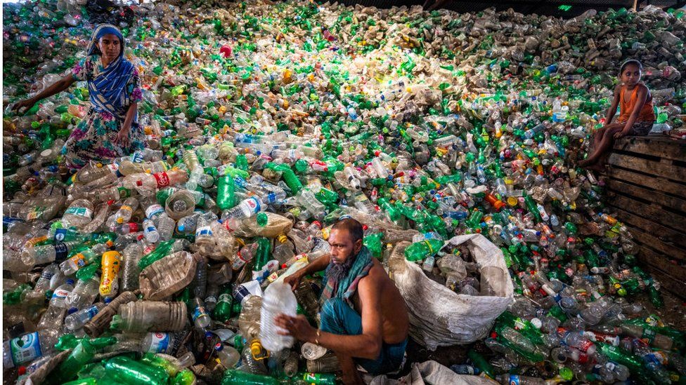fungus and bacteria tackling plastic waste